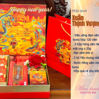 Hộp quà XUÂN THỊNH VƯỢNG 01