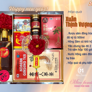 Hộp quà XUÂN THỊNH VƯỢNG 02
