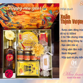 Hộp quà XUÂN THỊNH VƯỢNG 04