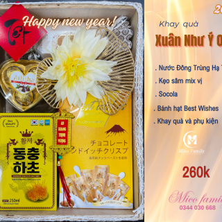 Khay quà Xuân Như Ý 01