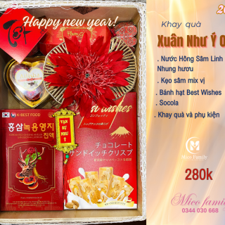Khay quà Xuân Như Ý 04