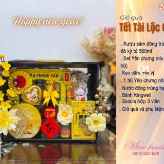 Giỏ quà TẾT TÀI LỘC 01