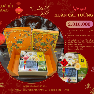 Hộp quà Xuân Cát Tường 05