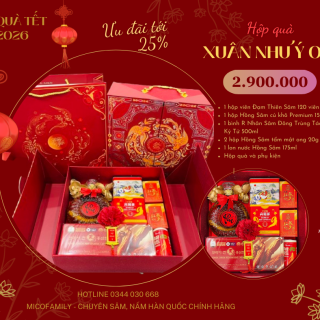 Hộp quà Xuân Như Ý 02