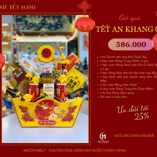 Giỏ quà Tết An Khang 01