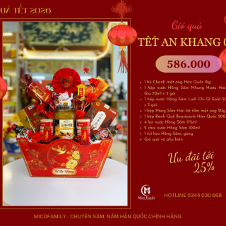 Giỏ quà Tết An Khang 02