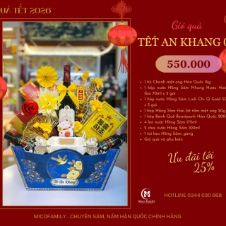 Giỏ quà Tết An Khang 03