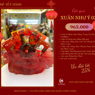 Giỏ quà Xuân Như Ý 02