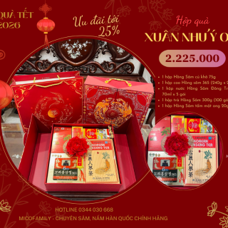 Hộp quà Xuân Như Ý 05