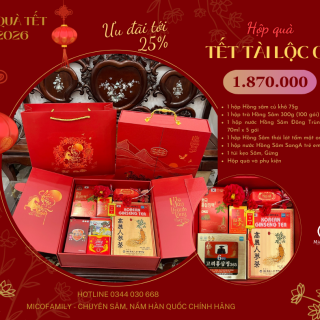 Hộp quà Tết Tài Lộc 06